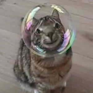 Meet your Posher, Layla